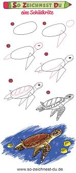 So Zeichnest Du Eine Schildkrote Schildkrote Zeichnen Schildkrote Zeichnung Fische Zeichnen