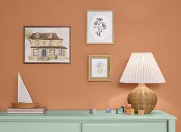 2025 Color Collection Of The Year