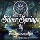 Silver Springs A Fleetwood Mac Experience @ The event image