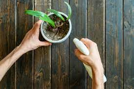 What matters is how much of the light makes it to the plants rather than going out the window another worthwhile efficiency improvement is to get an electronic ballast (often called a digital ballast by plant light sellers. How To Use Vinegar To Get Rid Of Fungus Gnats On A House Plant