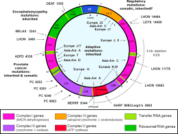 Chloramphenicol Resistance An Overview Sciencedirect Topics