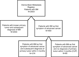 Signs and symptoms of rectal cancer include: Brain Metastases As First Manifestation Of Advanced Cancer Exploratory Analysis Of 459 Patients At A Tertiary Care Center Springerlink