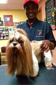 Everything about the store, the employees, owner and constantly changing inventory make it a fun place to visit. Pet Supply Center 18 Reviews Pet Stores 3558 Webber St Sarasota Fl United States Phone Number