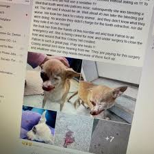 Top keywords % of search traffic. Colony Animal Hospital Veterinarians 2256 Papermill Rd Winchester Va Phone Number