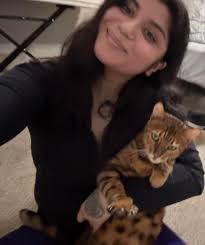 Raja Running Around The Living Room #rajaanddavid #cat