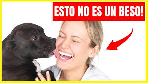 Tips cantidad de estambre para tejer