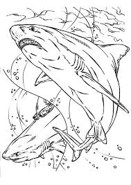 Bull Shark Coloring Pages In 2020 Shark Coloring Pages Animal Coloring Pages Coloring Pages