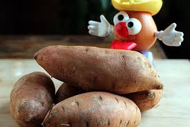 If you want more slips, i'd suggest starting them in a casserole dish. How I Grow Sweet Potatoes Kevin Lee Jacobs