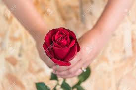 I never forget, because i was actually born on mother's day. Red Rose Love Beautiful Flower Images