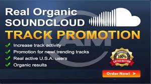 As our playlists placement are limited, our. I Will Do Massive Targeted Organic Soundcloud Promotion Any Country Fiverrbucks Freelance Online Marketplace