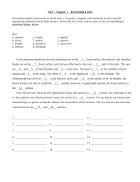 Anatomical organization questions for your custom printable tests and worksheets. A P Chapter 1 Directional Terms