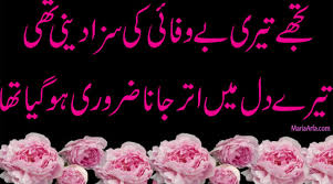 غلط فہمی تھی کہ اپنے بہت ہیں۔۔۔ Best Friend Poetry In Urdu Poetry For Urdu Poetry In Urdu Urdu Shayari
