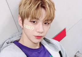 PANN/THEQOO/NAVER Archives