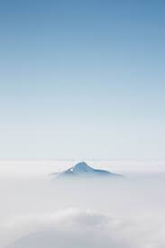Learn about blue 2 for animal usage including: 1500 Blue Aesthetic Pictures Download Free Images On Unsplash