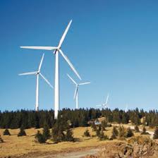 Der vormensch lebte in afrika und konnte bereits aufrecht gehen und einfachste werkzeuge benutzen. Windfakten