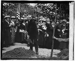 Ask questions and get answers from people sharing their experience with treatment. Arbor Day 2021 When Is Arbor Day History Activities The Old Farmer S Almanac