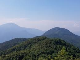 Sur.ly for drupal sur.ly extension for both major drupal version is. é‹å‹•ç­†è¨˜hk Hk Running Biji Co