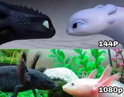 Once you've caught some minecraft axolotls, when you release them into open water, they will just swim around decimating every fish and enemy in the vicinity. Funny Axolotl Memes Cuteanimals