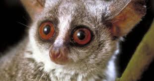 Check spelling or type a new query. Pin On A Mooovviinngg Experience