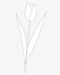 We did not find results for: Bunga Tulip Hitam Putih Logo Free Transparent Clipart Clipartkey