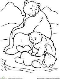 Polar Bear Family Worksheet Education Com Bear Coloring Pages Polar Bear Coloring Page Animal Coloring Pages