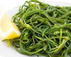 We did not find results for: Agretti O Barba Dei Frati Descrizione E Uso Alimentipedia It