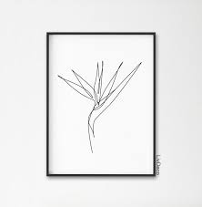 Bird Of Paradise Plant Wall Print Minimalist Art One Line Etsy Bird Of Paradise Tattoo Birds Of Paradise Birds Of Paradise Plant