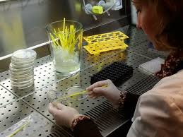 Echipa institutului de biologie vă urează sărbători fericite și vă dorește un 2020 încrezător și minunat. Facultatea De Biologie Unibuc