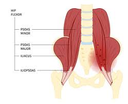 Image result for Tendon Sheath Injection