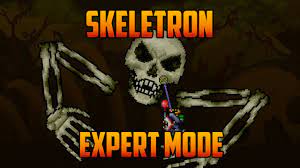 For a mount, i can use either honeyed goggles or slimey saddle. Terraria Skeletron Expert Mode Yoyo Guide Youtube