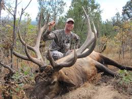 Guided elk hunts, mule deer hunts, antelope hunts, and oryx hunts. Elite Gila Hunts Newmexico Best Wilderness Best Camps