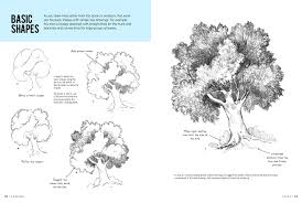 When learning how to draw tree leaves you have to make sure you sketch out the shape and style of a cartoon like tree top as seen here. Drawing Trees With William F Powell Learn To Draw Step By Step How To Draw Paint Powell William F 9781633227798 Amazon Com Books