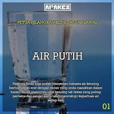 Petua untuk masalah kencing tak lawas bergantung pada penyebabnya. Ayoh Mea Petua Hilangkan Kencing Tak Lawas Selamat Facebook