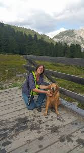 Gasthaus ZimmerSonnenhof preda