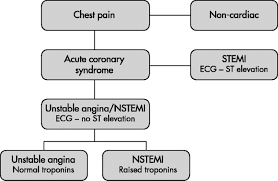 Nstemi is the less common of the two, accounting for around 30 percent of all heart attacks. Critical Review Of Unstable Angina And Non St Elevation Myocardial Infarction Postgraduate Medical Journal
