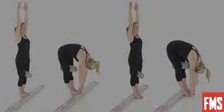 Jul 29, 2009 · after the office overtime (4.37): Breaking Down The Toe Touch Progression Functional Movement Systems