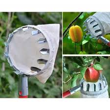 Cueille Fruits Avec Manche Achat Vente Pas Cher