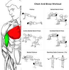 All sports routines are from tbk fitness. Chest And Bicep Workout Plan Fitness Health Sport Routine Body Fitness Hashtag Chest And Bicep Workout Biceps Workout Workout Plan