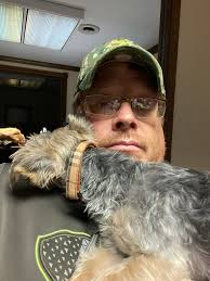 In comments mini Yorkies traditional