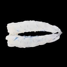 Image result for Caledonia Blue 1988 Vista