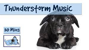 Keep your dog indoors during thunderstorms. Calm Your Dog During Thunderstorms 30 Minutes Of Anxiety Reducing Dog Music Youtube