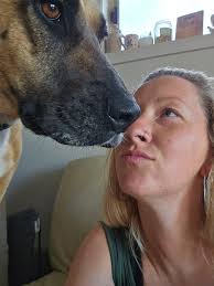 Introduction and photo of a dog