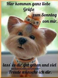 Wochenendstimmung chillen & ausruhen herzliche grüße ohne lange suche für jung & alt. Pin Von Resi Ehrenhoefer Auf Wochenende Sonntagsgrusse Bilder Schonen Tag Spruche Sonntag Bilder