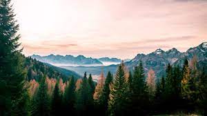 Follow the vibe and change your wallpaper every day! Nature Background Images Pictures Photos Nature Background Photographs Shutterstock