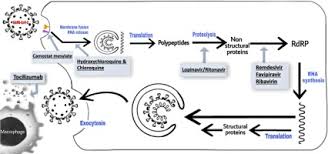 What could possibly go wrong? Covid 19 An Overview Of The Current Pharmacological Interventions Vaccines And Clinical Trials Sciencedirect