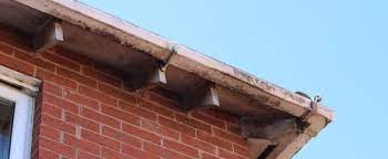 Maybe you would like to learn more about one of these? Why Gutters In Howell Michigan Are So Important And What You Need To Know About Them