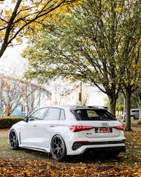 Image result for Suzuka Gray 2023 Audi
