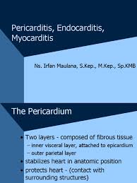 Contemporary reviews in cardiovascular medicine. Pericardial Dx Endocarditis Myocarditis Cardiology Internal Medicine