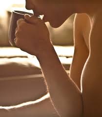 16/365 What's the Story Morning Glory