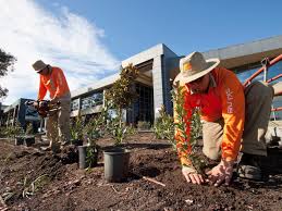 Find 1 listings related to a tropical enhancement landscaping in lahaina on yp.com. Indoor Plant Hire Skyline Landscape Services
